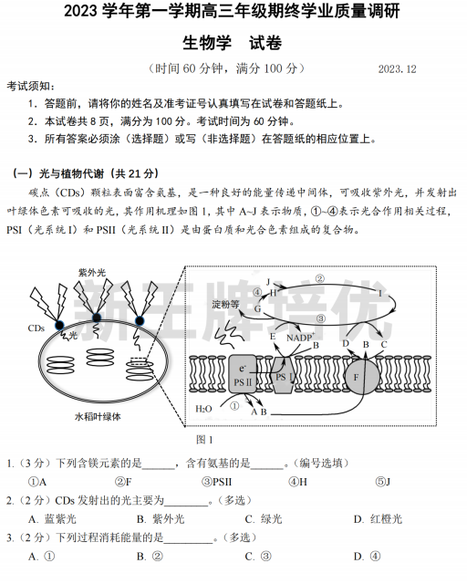 上海高三一模