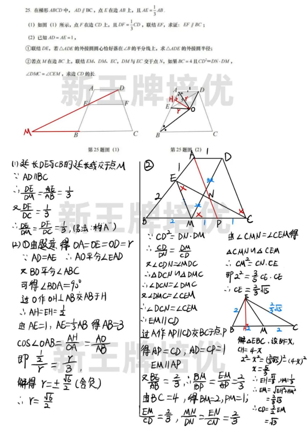 2024上海中考数学题目