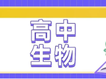 怎样学好高中生物？4个步骤教你搞定|上海寒假补习班