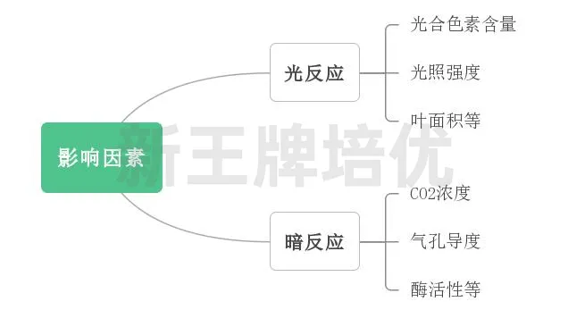 上海高中生物补习班