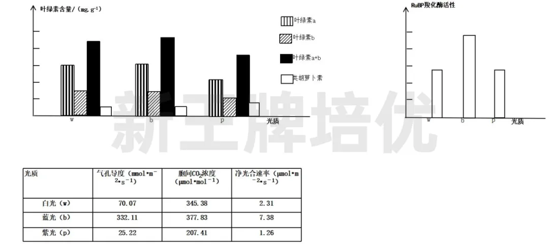 上海秋季补习班