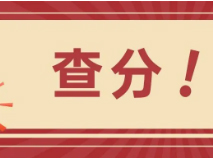查分了！2025上海中考体育、道法、历史日常成绩公布
